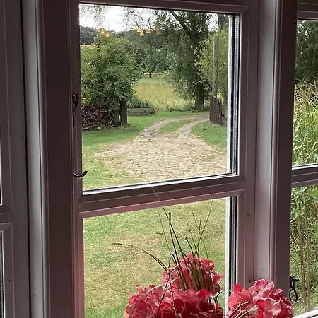 Atelierhaus Am Bodden B Unten * Neuenkirchen (Landhagen)